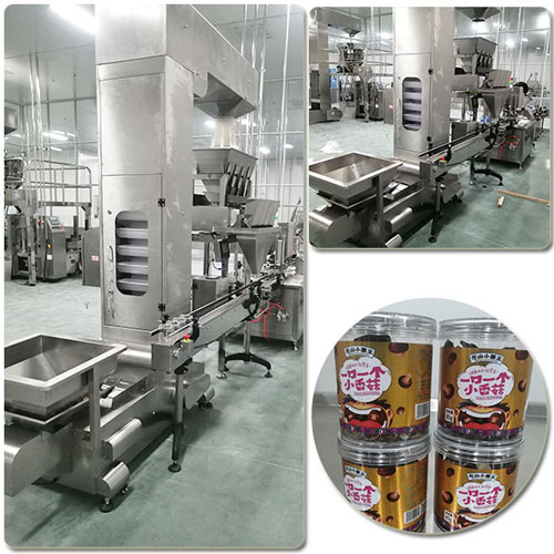 整套干香菇顆粒包裝機(jī)械實(shí)拍