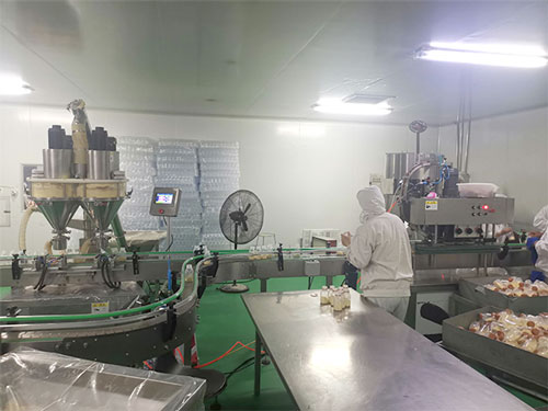 全自動(dòng)粉劑灌裝機(jī)