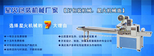 瓶裝調(diào)味粉灌裝機(jī)設(shè)備廠家